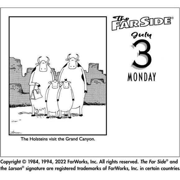 The Far Side® 2023 Off-The-Wall Calendar by Gary Larson Desk Calendar - Picture 3 of 3